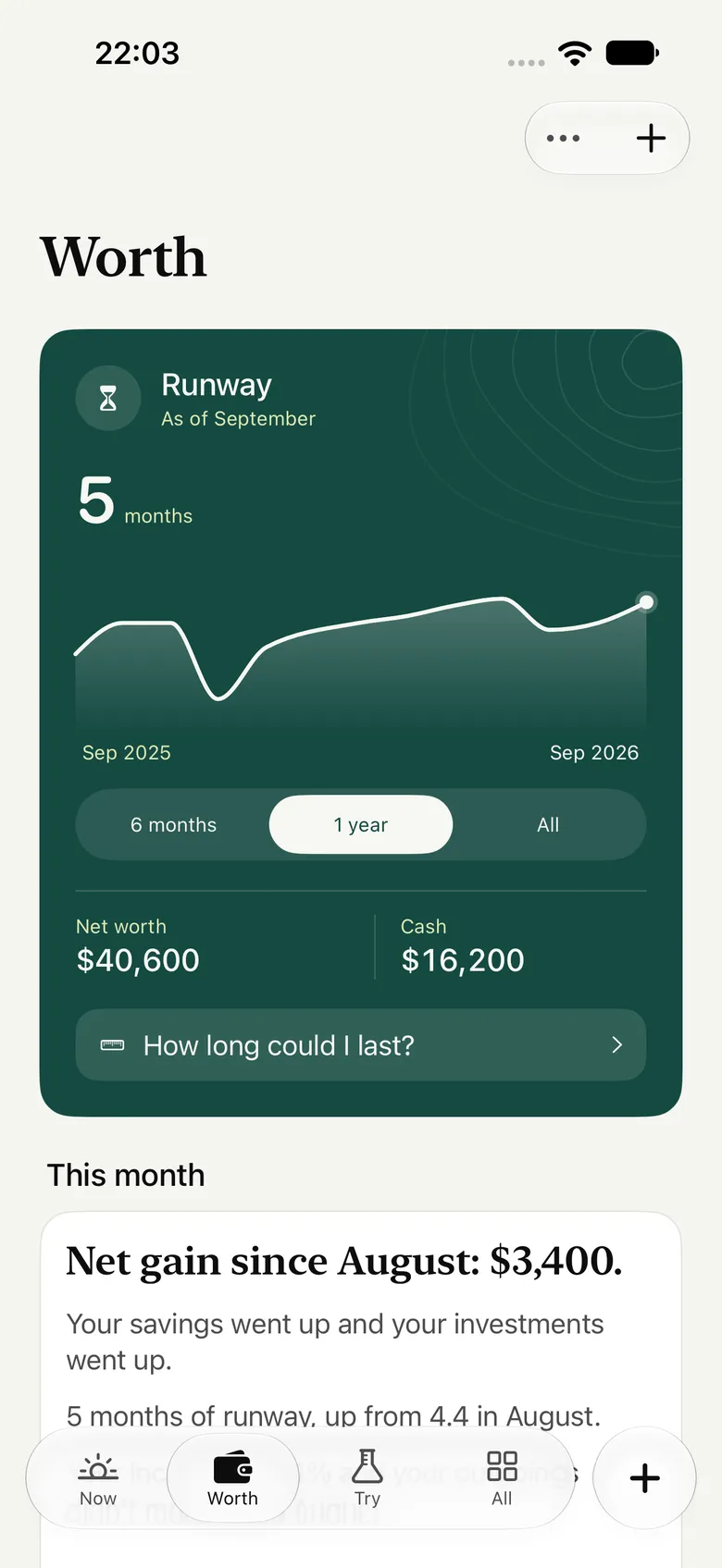 Gain's Worth page: an evergreen runway card reading 5 months, a year of runway as a line, net worth $40,600 and cash $16,200, then this month's sentence