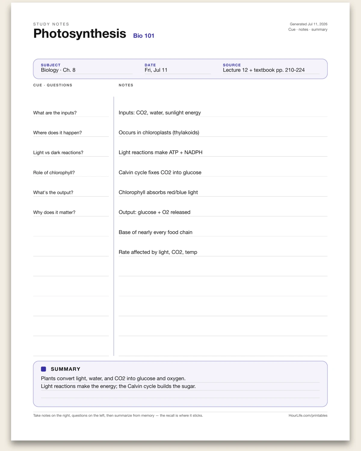 Cornell Notes filled example preview