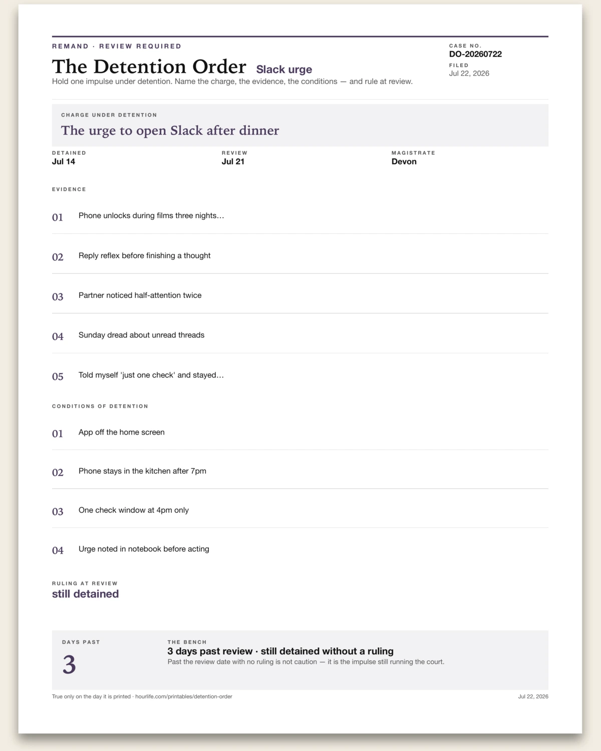 The Detention Order filled example preview