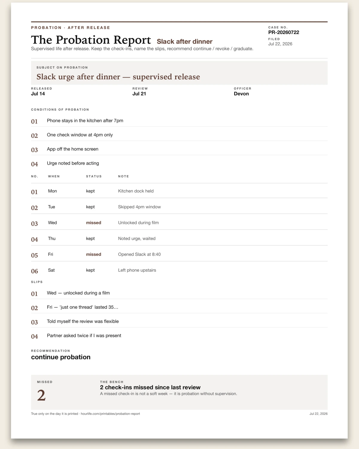 The Probation Report filled example preview