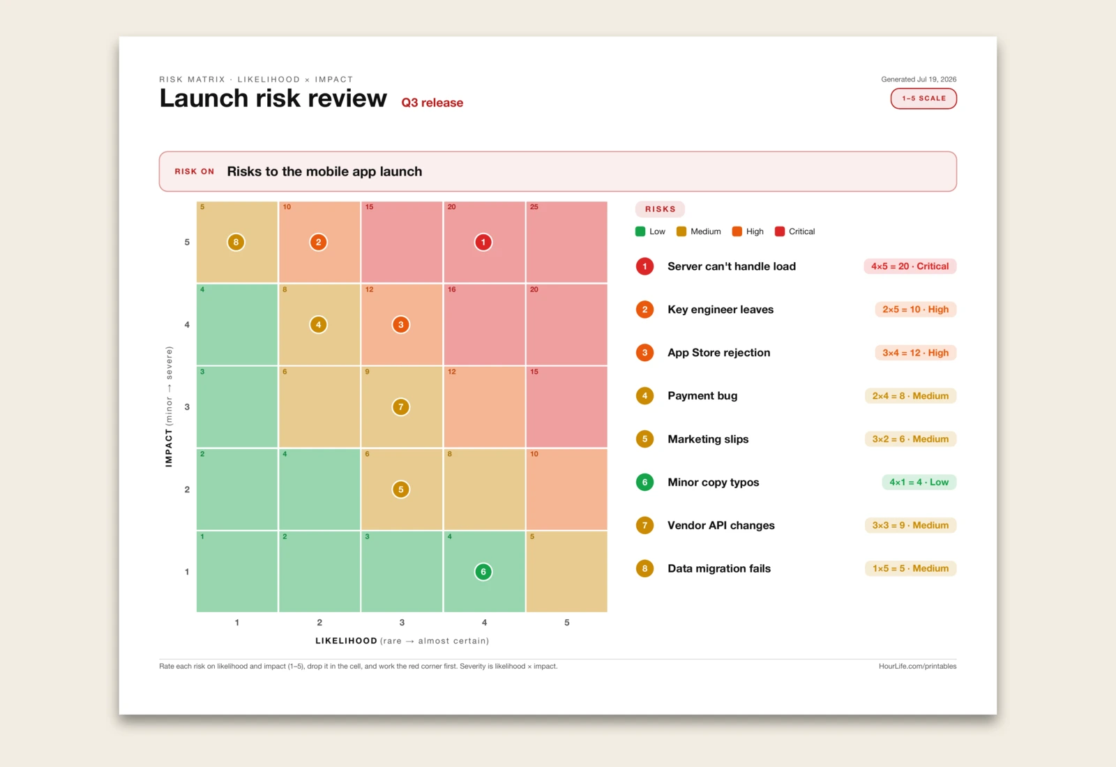 The Risk Matrix filled example preview