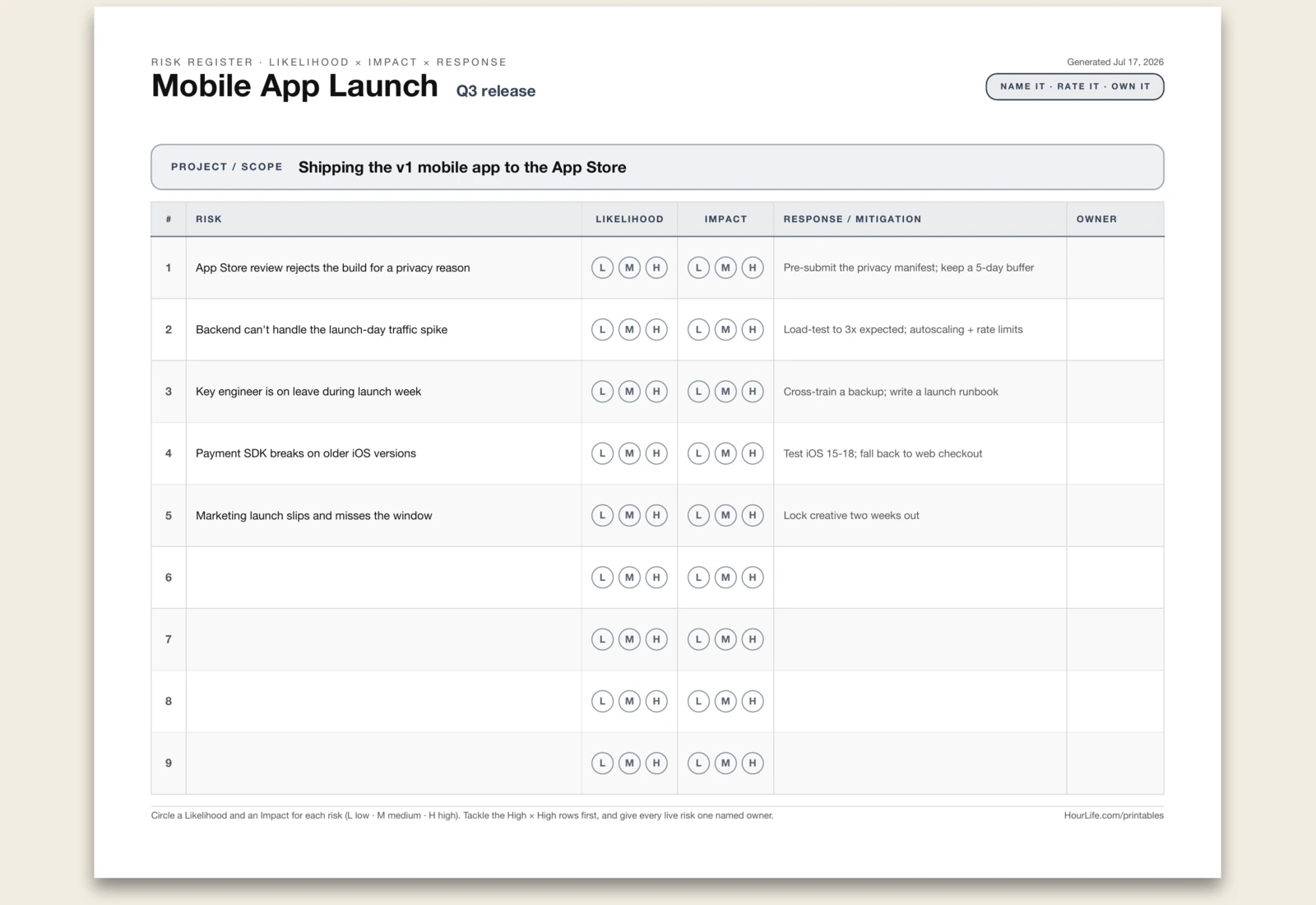 Risk Register filled example preview