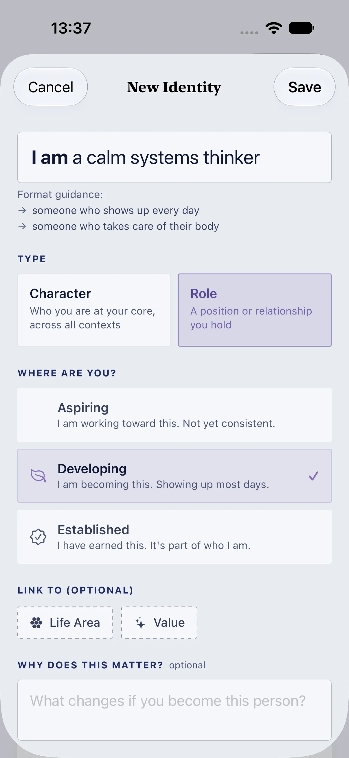 HourLife Values: A new identity, “I am a calm systems thinker”, set as a Role at the Developing stage.